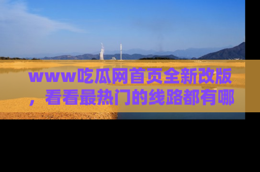 www吃瓜网首页全新改版，看看最热门的线路都有哪些！