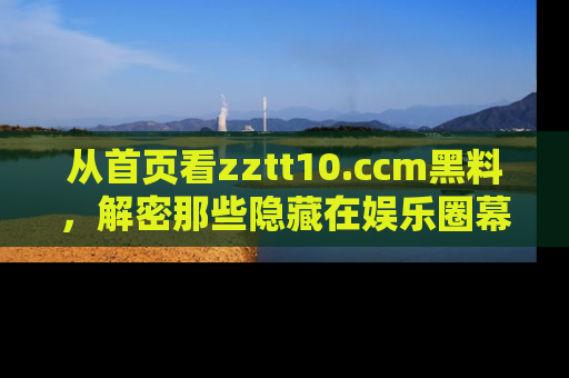 从首页看zztt10.ccm黑料，解密那些隐藏在娱乐圈幕后的丑闻故事！