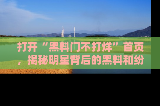 打开“黑料门不打烊”首页,揭秘明星背后的黑料和纷争真相!