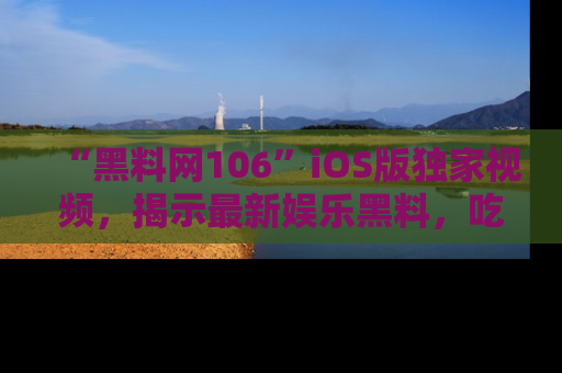 “黑料网106”iOS版独家视频，揭示最新娱乐黑料，吃瓜不停！