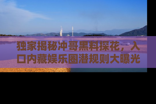 独家揭秘冲哥黑料探花,入口内藏娱乐圈潜规则大曝光