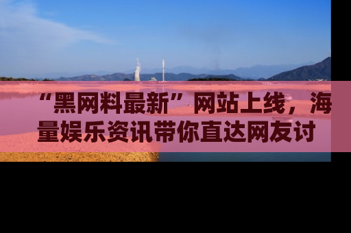 “黑网料最新”网站上线，海量娱乐资讯带你直达网友讨论的中心！