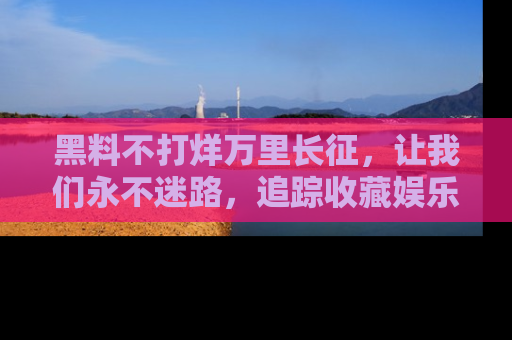 黑料不打烊万里长征，让我们永不迷路，追踪收藏娱乐爆料的乐趣！
