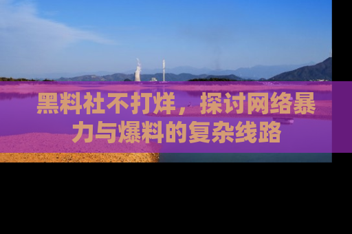 黑料社不打烊，探讨网络暴力与爆料的复杂线路