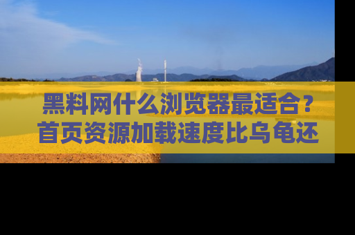 黑料网什么浏览器最适合？首页资源加载速度比乌龟还慢的体验真心吐槽！