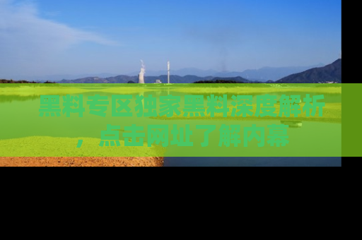 黑料专区独家黑料深度解析，点击网址了解内幕
