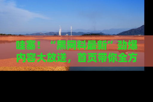 哇塞!“黑网料最新”劲爆内容大放送,首页带你全方位了解哦,小可爱们