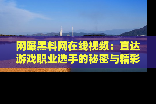 网曝黑料网在线视频：直达游戏职业选手的秘密与精彩动漫片段！