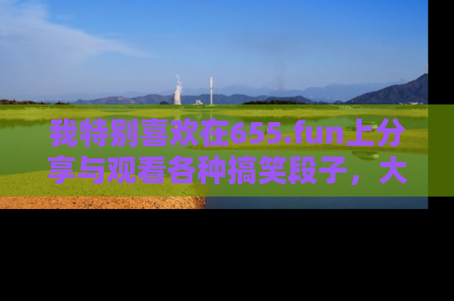 我特别喜欢在655.fun上分享与观看各种搞笑段子，大家一起来享受乐趣吧！