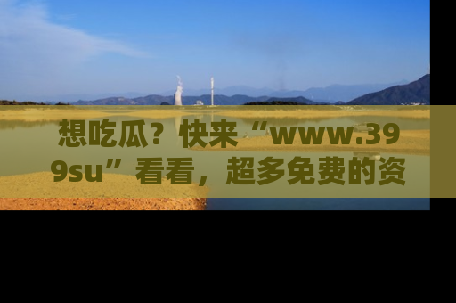 想吃瓜？快来“www.399su”看看，超多免费的资源让你尽情享受！