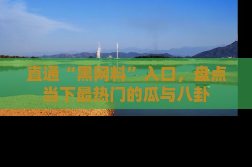 直通“黑网料”入口,盘点当下最热门的瓜与八卦